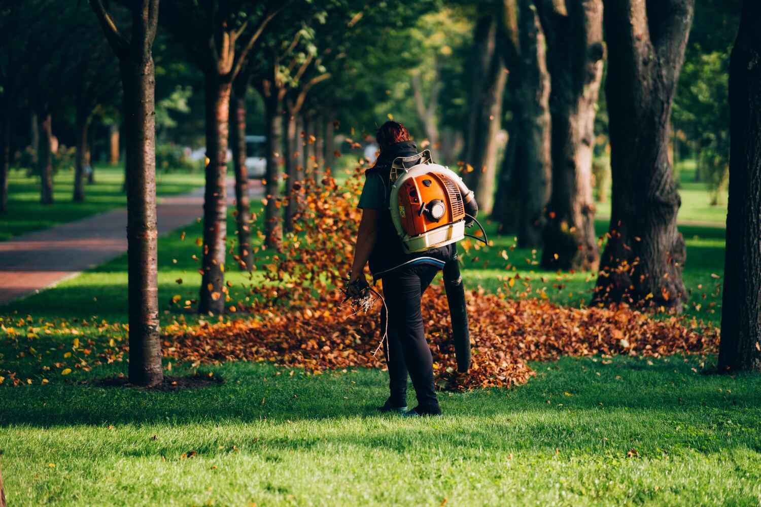 Best Palm Tree Trimming  in Port Richey, FL